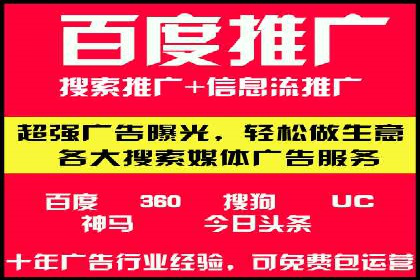 成功运用SEM服务实现品牌推广的案例分析